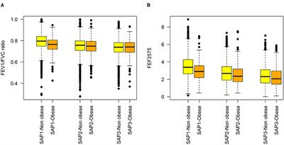 Causal Effects of Body Mass Index on Airflow Obstruction and Forced Mid-Expiratory Flow: A Mendelian Randomization Study Taking Interactions and Age-Specific Instruments Into Consideration Toward a Life Course Perspective